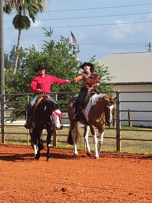 GastroElm Plus Saved My Horse!